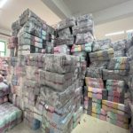 Desenli Pamuklu Yastık Kılıfı - 4